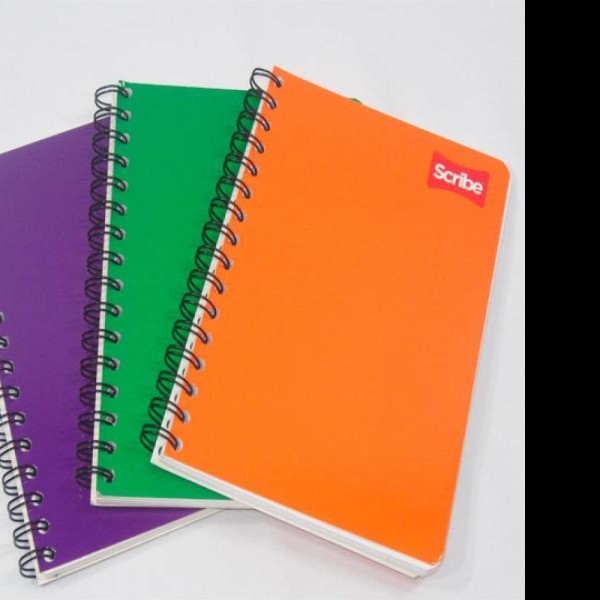 CUADERNO FRANC. CLASICO SCRIBE 1600 RAYA ESP. 100H. C.36